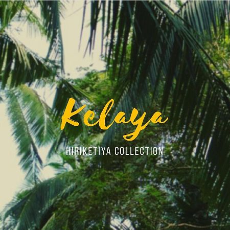 ホテルKelaya At Hiriketiya Collection ディックウェラ エクステリア 写真
